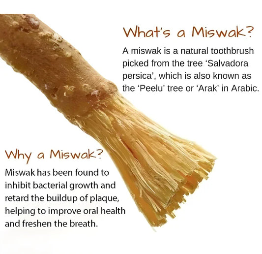 Natural Toothbrush